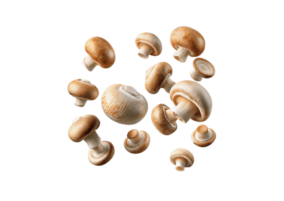 Download 3D Flying Champignon Mushrooms PNG - Champignon Collection