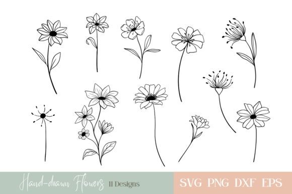 Download Hand-drawn Flowers Bundle - Flower Collection
