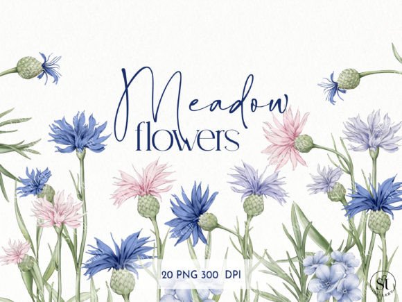 Download Meadow Flowers Water Color - Flower Collection