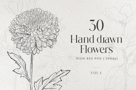 Download Hand Drawn Flowers Bundle - Flower Collection