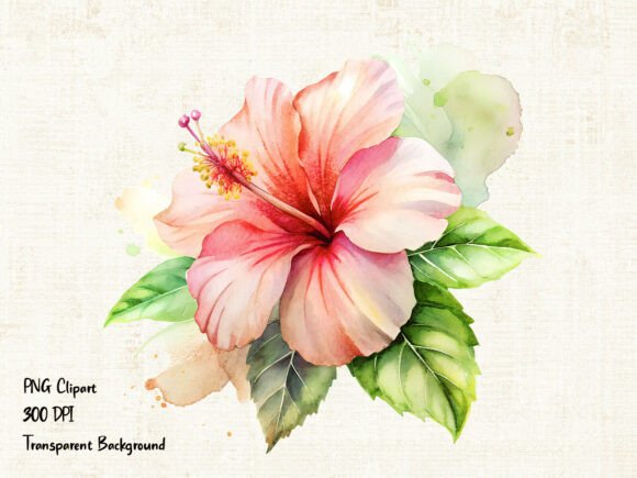 Download Soft Pink Hibiscus Flower PNG Clipart - Flower Collection
