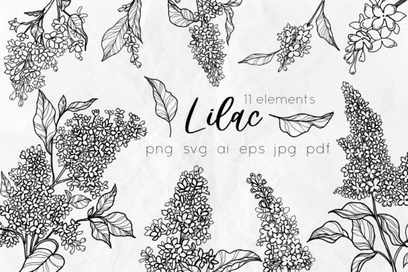 Download Lilac Flowers Line Art SVG - Flower Collection