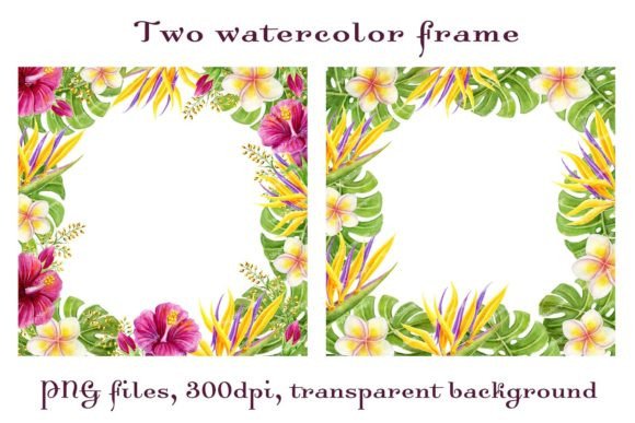 Download Tropical Frames Flowers Palm Leaves PNG - Flower Collection