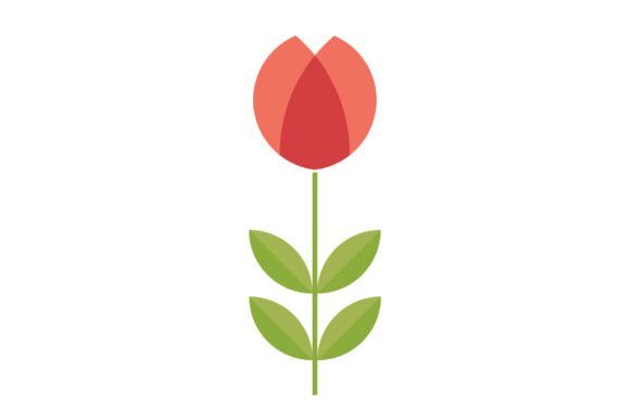 Download Decorative Modern Minimal Flowers - Flower Collection