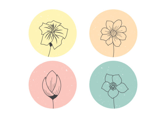 Download Hand Drawn Flowers Illustration - Flower Collection