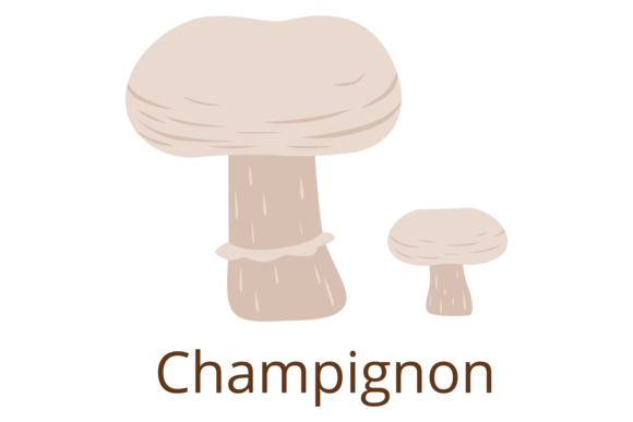 Download Champignon Icon. Edible Growing Mushroom - Champignon Collection
