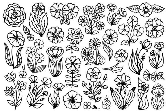 Download Hand Drawn Flowers - Flower Collection