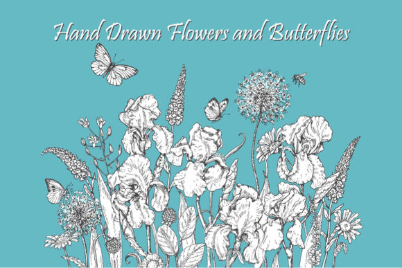 Download Hand Drawn Flowers and Butterflies. - Flower Collection