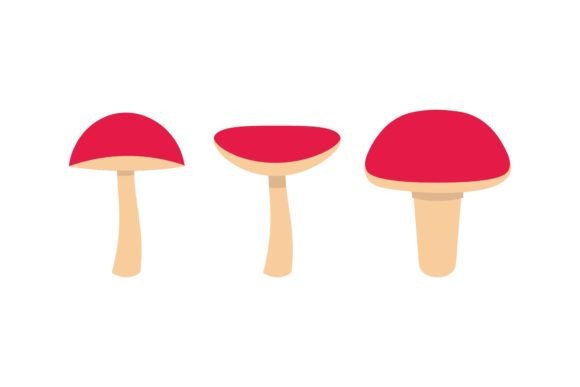 Download Mushroom Icon Champignon - Champignon Collection