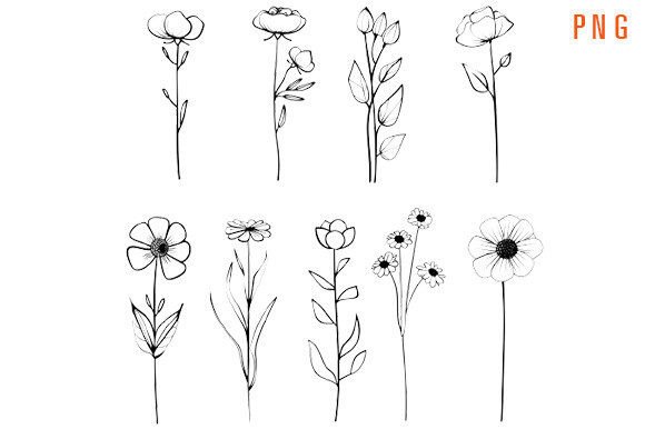 Download Minimal Flowers - Flower Collection