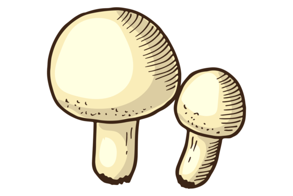 Download Champignon Hand Drawn Icon. Color Edible - Champignon Collection