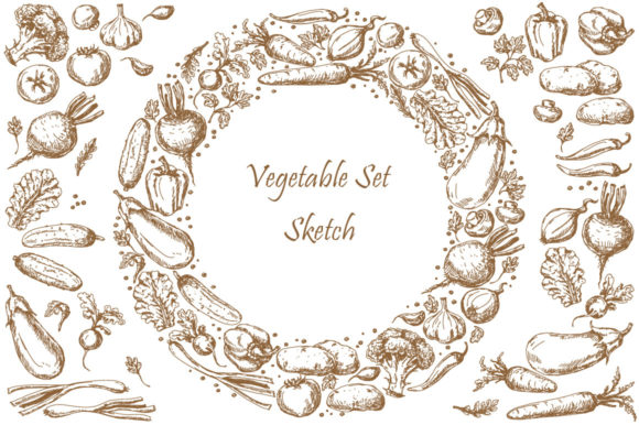 Download Vegetable Set Sketch - Vegetable Collection